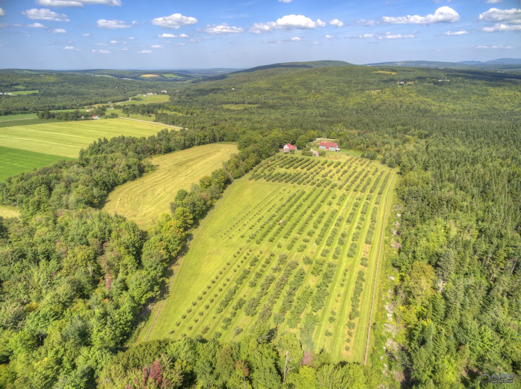 Domaine Custeau | 1041 3e Rang, Kinnears Mills, QC G0N 1K0, Canada | Phone: (418) 424-0136