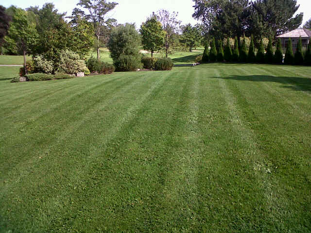 LGMP - Lloyd’s Grounds Management Professionals | 1893 Durham Regional Rd 3, Hampton, ON L0B 1J0, Canada | Phone: (905) 263-2225