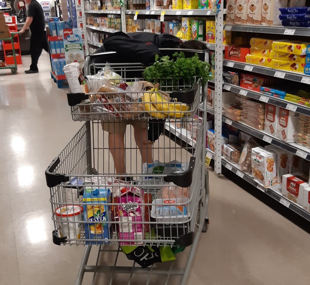 FreshCo | 835 Ontario Rd, Welland, ON L3B 5E2, Canada | Phone: (905) 735-2525