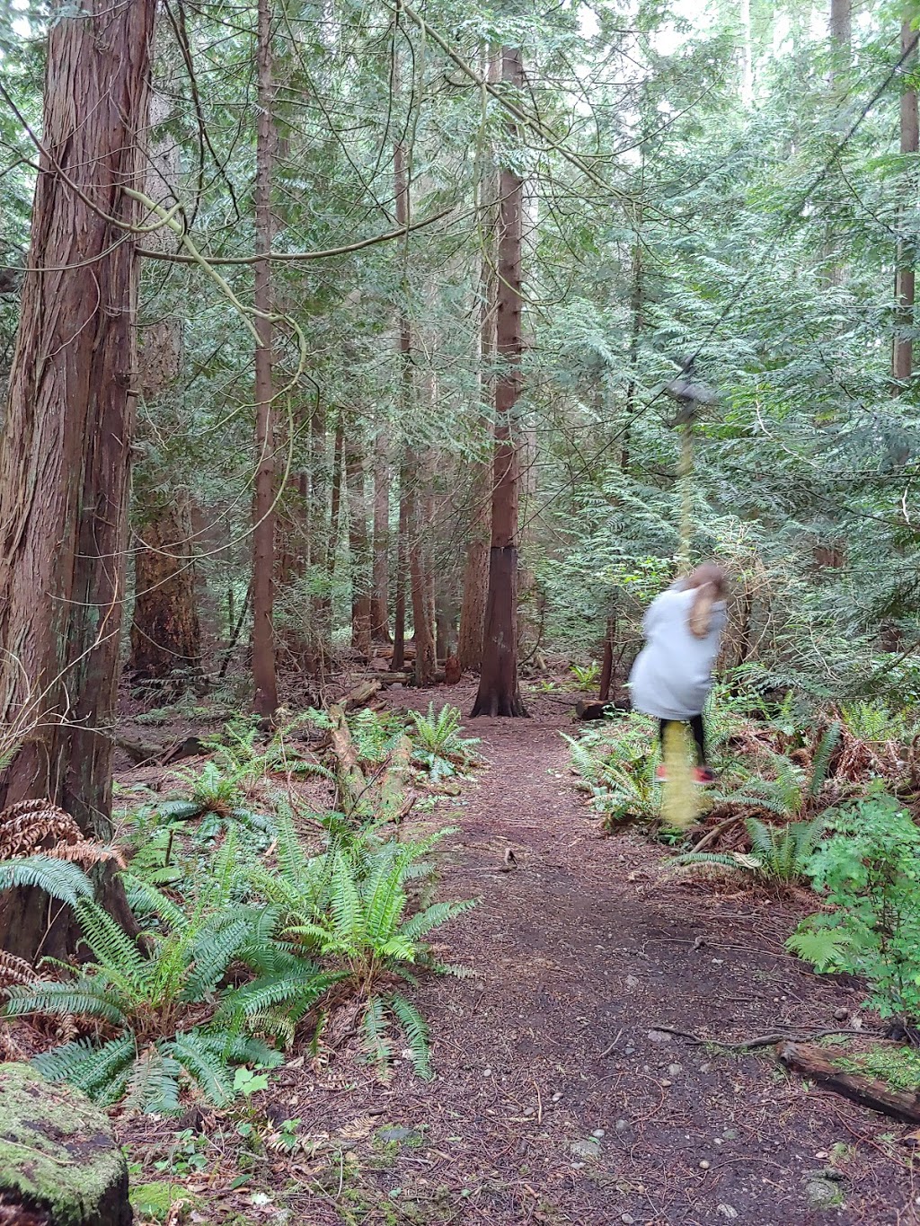 Whispering Firs Park | 1603 Sunshine Coast Hwy, Gibsons, BC V0N 1V5, Canada | Phone: (604) 885-6800