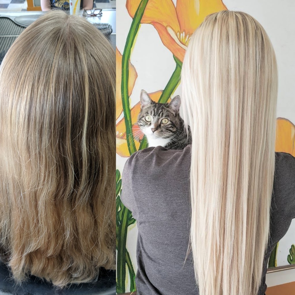 Silver Scissors | 447 Ferry Rd, Winnipeg, MB R3J 1W3, Canada | Phone: (204) 888-9283