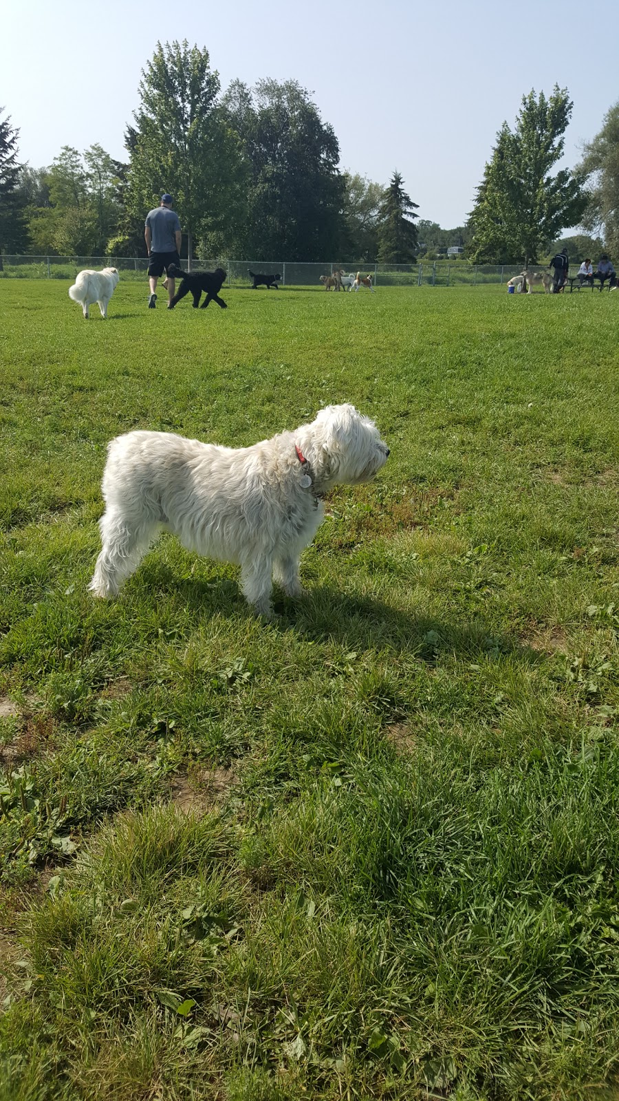 Bowmanville Off Leash Dog Park | Waterfront Trail, Courtice, ON L1E 2S6, Canada | Phone: (905) 623-6380