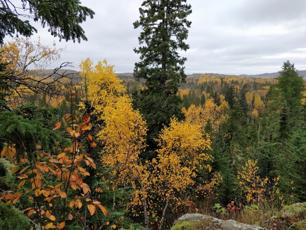 Pigeon River Provincial Park | High Falls Trail, South Gillies, ON P0T 2V0, Canada | Phone: (807) 473-9231