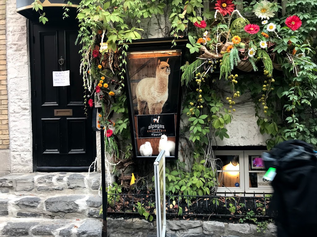 Boutique Alpagas Charlevoix Québec | 77 Rue du Petit Champlain, Québec, QC G1K 4H5, Canada | Phone: (418) 692-0416