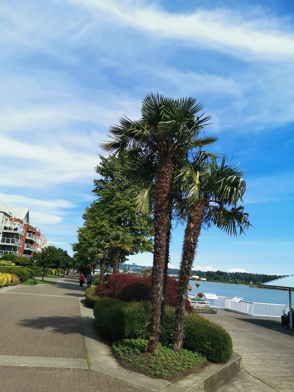 Waterfront Esplanade and Park | 1260 Quayside Dr, New Westminster, BC V3M 6E1, Canada | Phone: (604) 521-3711