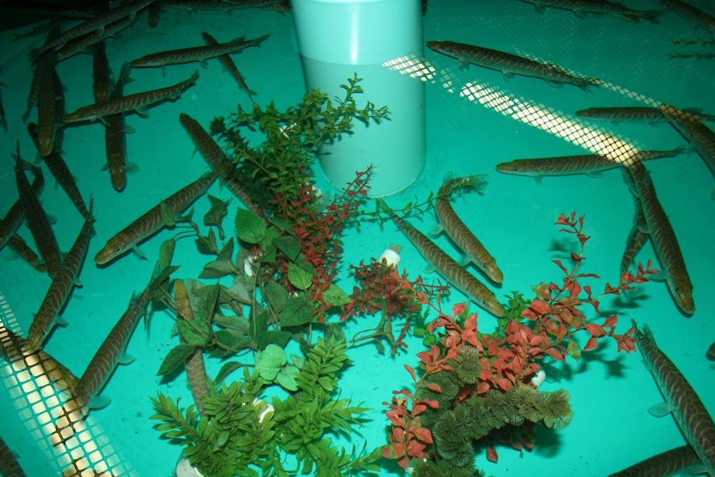 Toxicology Centre | 44 Campus Dr, Saskatoon, SK S7N 5B3, Canada | Phone: (306) 966-7441