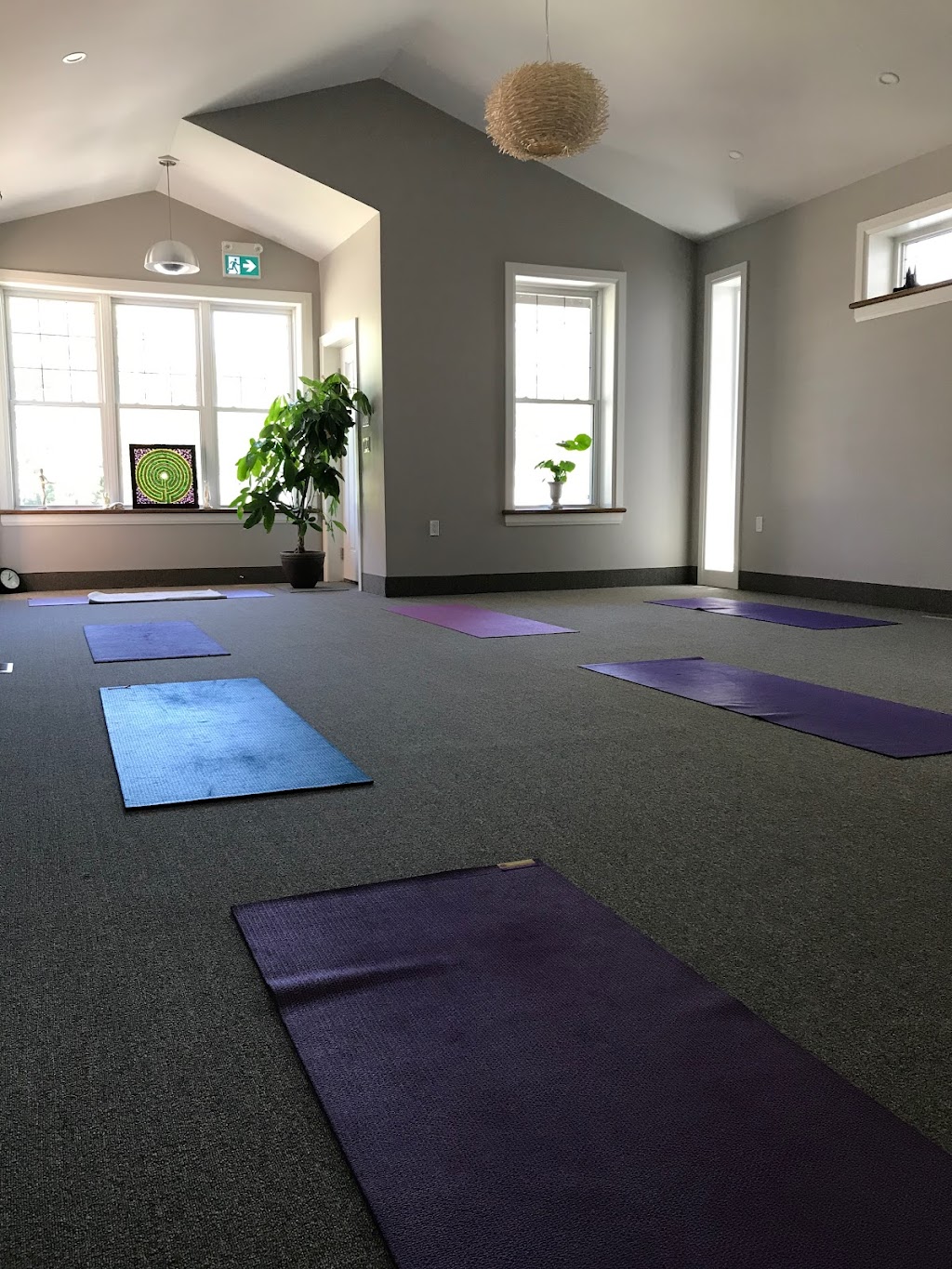 Sharon Smith-Carter Somatics & Movement | 21 Victoria Ave N, Lindsay, ON K9V 4E6, Canada | Phone: (705) 878-1212