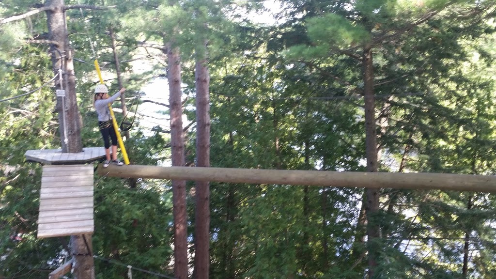 Muskoka Zip Lines & Aerial Park | 1624 Golden Beach Rd, Bracebridge, ON P1L 1W8, Canada | Phone: (705) 645-2512