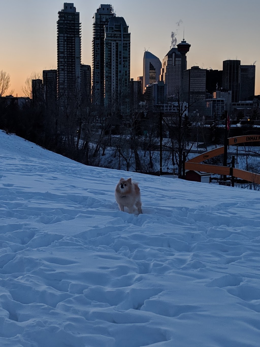Ramsay Off Leash Dog Park | Ramsay, Calgary, AB T2G 4M3, Canada