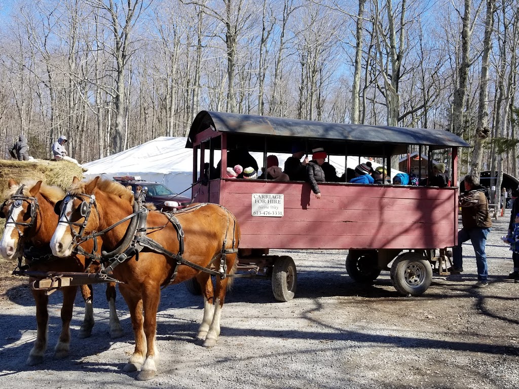 Walts Sugar Shack | 1671 Salem Rd, Consecon, ON K0K 1T0, Canada | Phone: (613) 965-6381