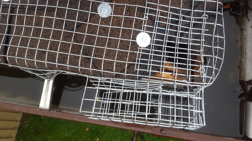 SIA Wildlife Control inc. | 26 Riveredge Dr, Keswick, ON L4P 2N9, Canada | Phone: (647) 715-6262
