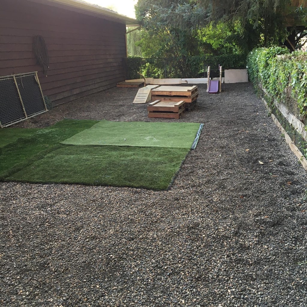 Tails & Trails Dog Daycare | 11860 Ladner Trunk Rd, Delta, BC V4K 3N3, Canada | Phone: (660) 910-4263