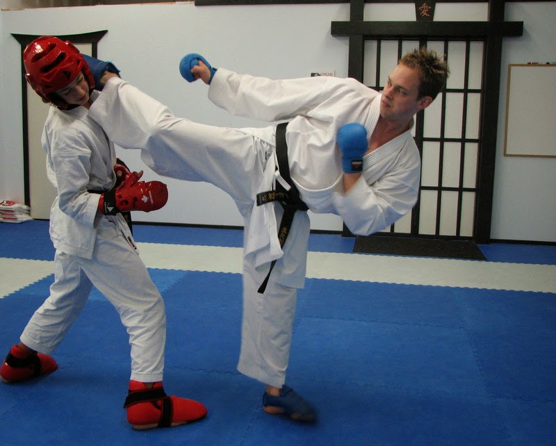 Tigers Lair Karate | 6625 Drummond Rd, Niagara Falls, ON L2G 4N4, Canada | Phone: (905) 371-8287