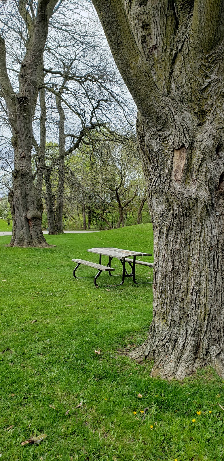 Ashton Meadows Park | 202 Calvert Rd, Markham, ON L6C 1T5, Canada