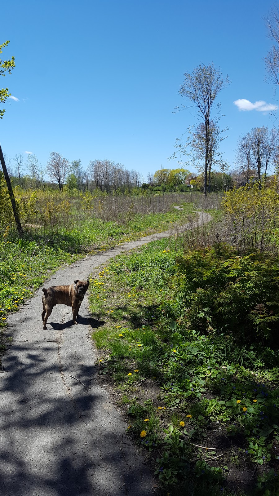 Durham Court Park | 330 Waverly St S, Oshawa, ON L1J 5V6, Canada | Phone: (905) 436-3311