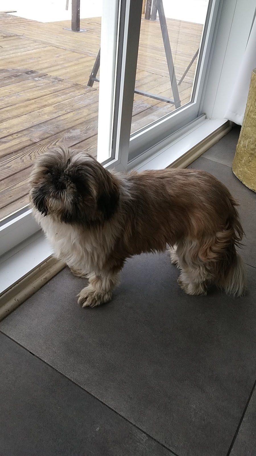 Hôpital Vétérinaire StJean Inc 269 Rue JacquesCartier S, SaintJeansurRichelieu, QC J3B