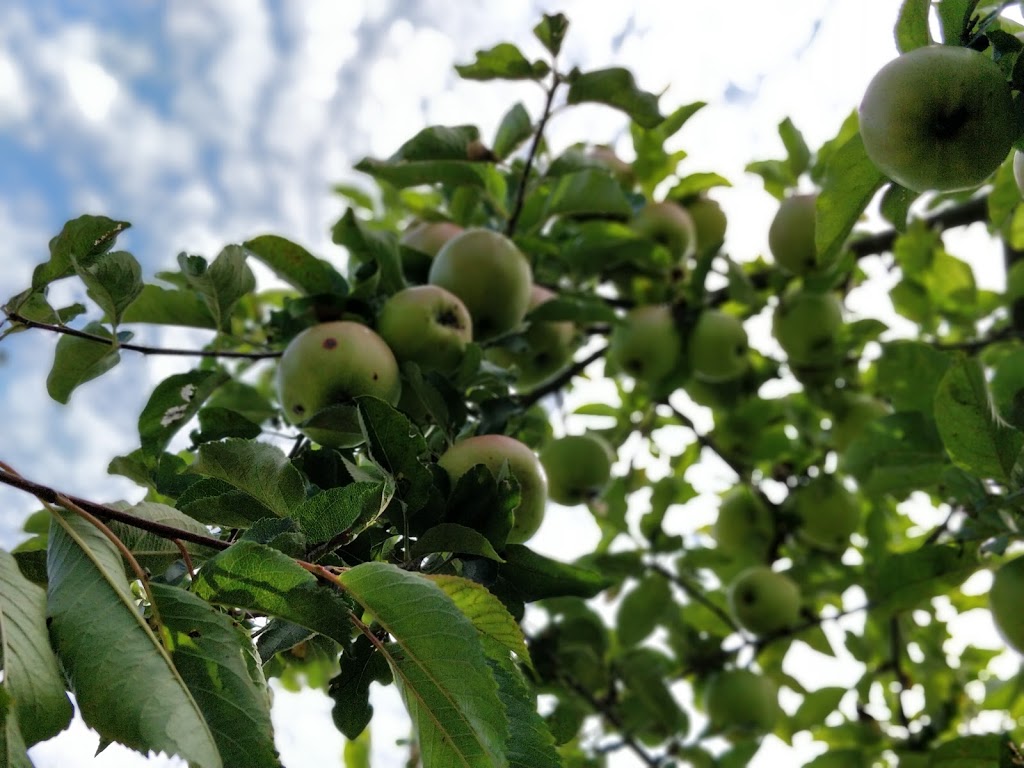 Terra Nova Rural Park Farm Center | 2631 Westminster Hwy, Richmond, BC V7C 1A1, Canada