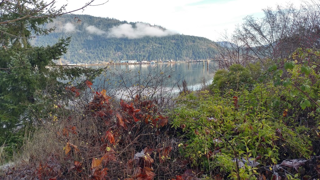 Cowichan Estuary | Cowichan Valley D, BC V9L, Canada
