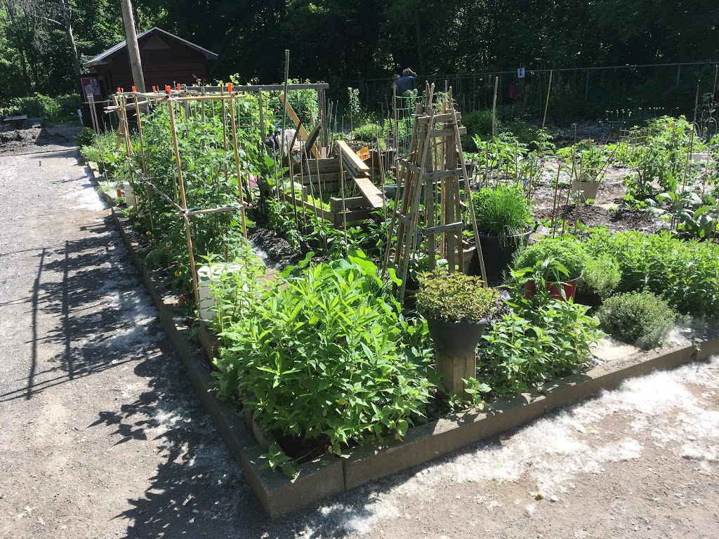 communautaire sault au récollet Garden | 10871 rie du, Montréal, QC H2B 2H3, Canada