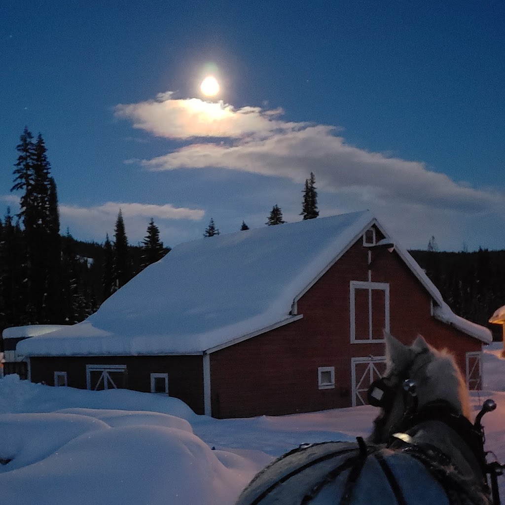 Sun Peaks Stables | Unnamed Road, Heffley Creek, BC V0E 1Z1, Canada | Phone: (250) 572-1325