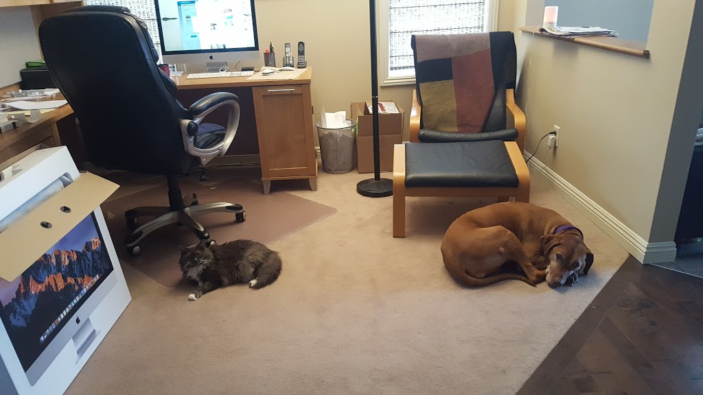Happy Paws Vet Clinic | 1301 8 St SW #5, Airdrie, AB T4B 3Y2, Canada | Phone: (403) 299-0336