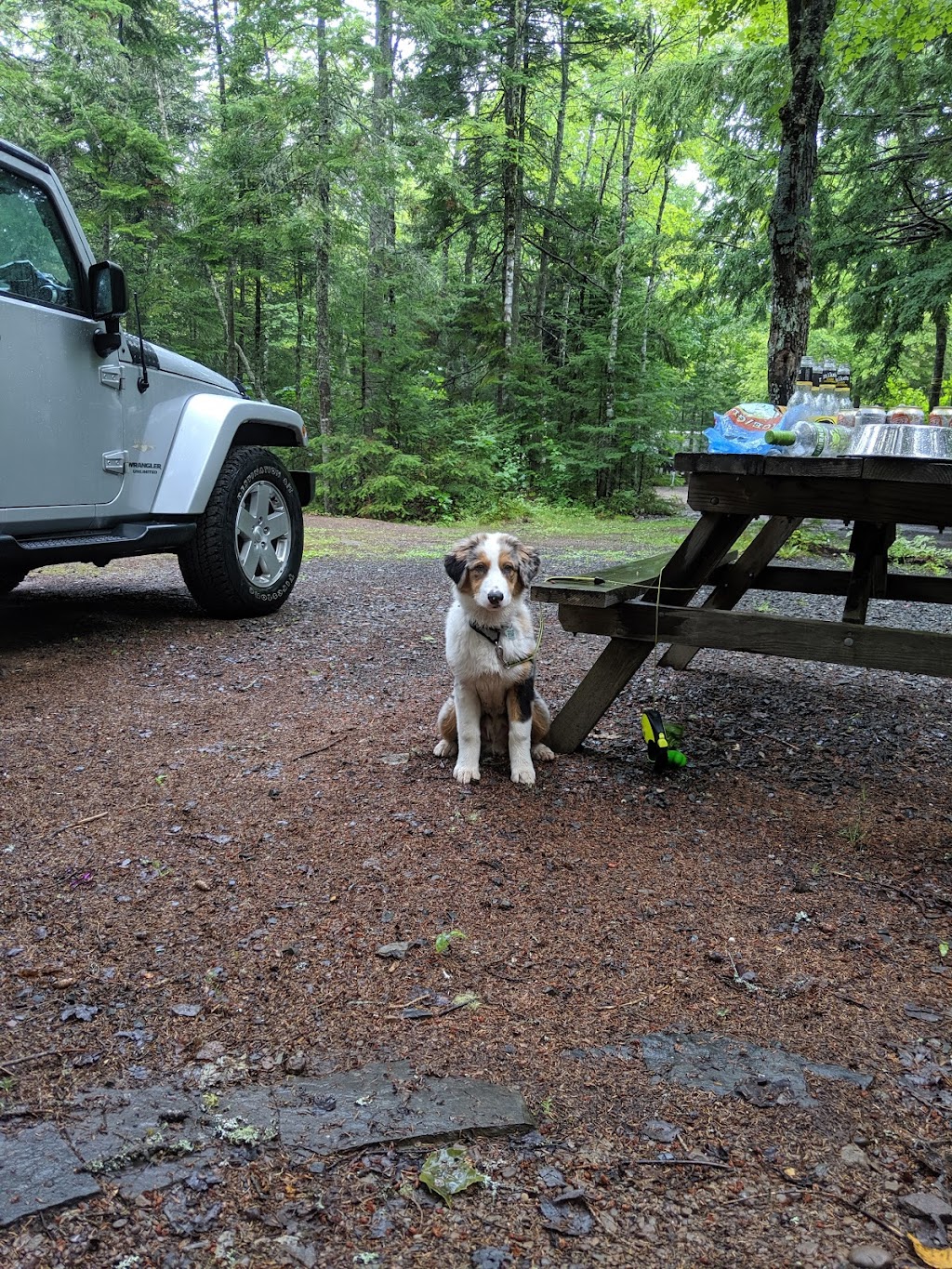 Lakeside Campground | 5913 NB-105, Mill Cove, NB E4C 3B2, Canada | Phone: (506) 488-2321