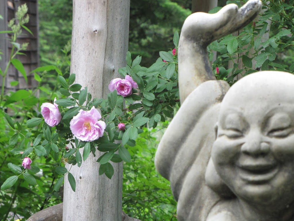 Shambhala Bed and Breakfast | 2825 Peterborough County Rd 36, Buckhorn, ON K0L 1J0, Canada | Phone: (705) 657-8664