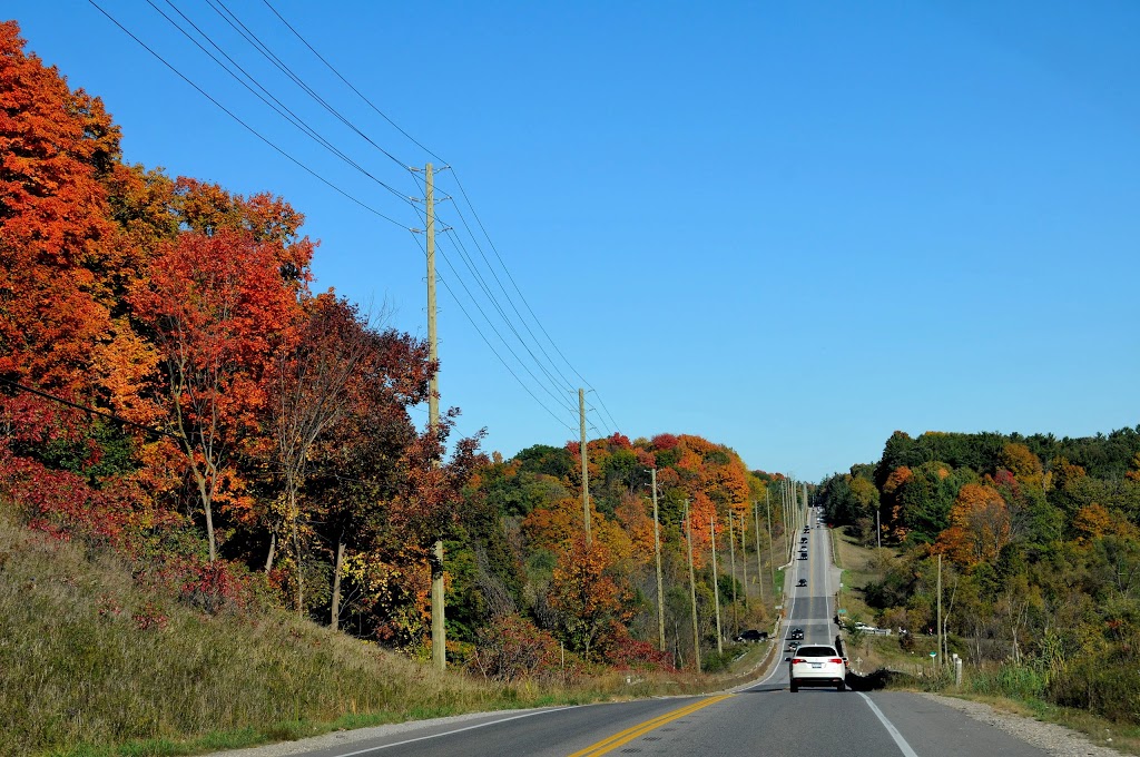 Saint-Jean de Brebeuf Park | Woodbridge, ON L4H 1N6, Canada