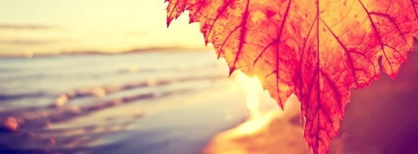 Empower Health And Wellness | 71 Revell Dr, Guelph, ON N1G 0B1, Canada | Phone: (519) 760-3555