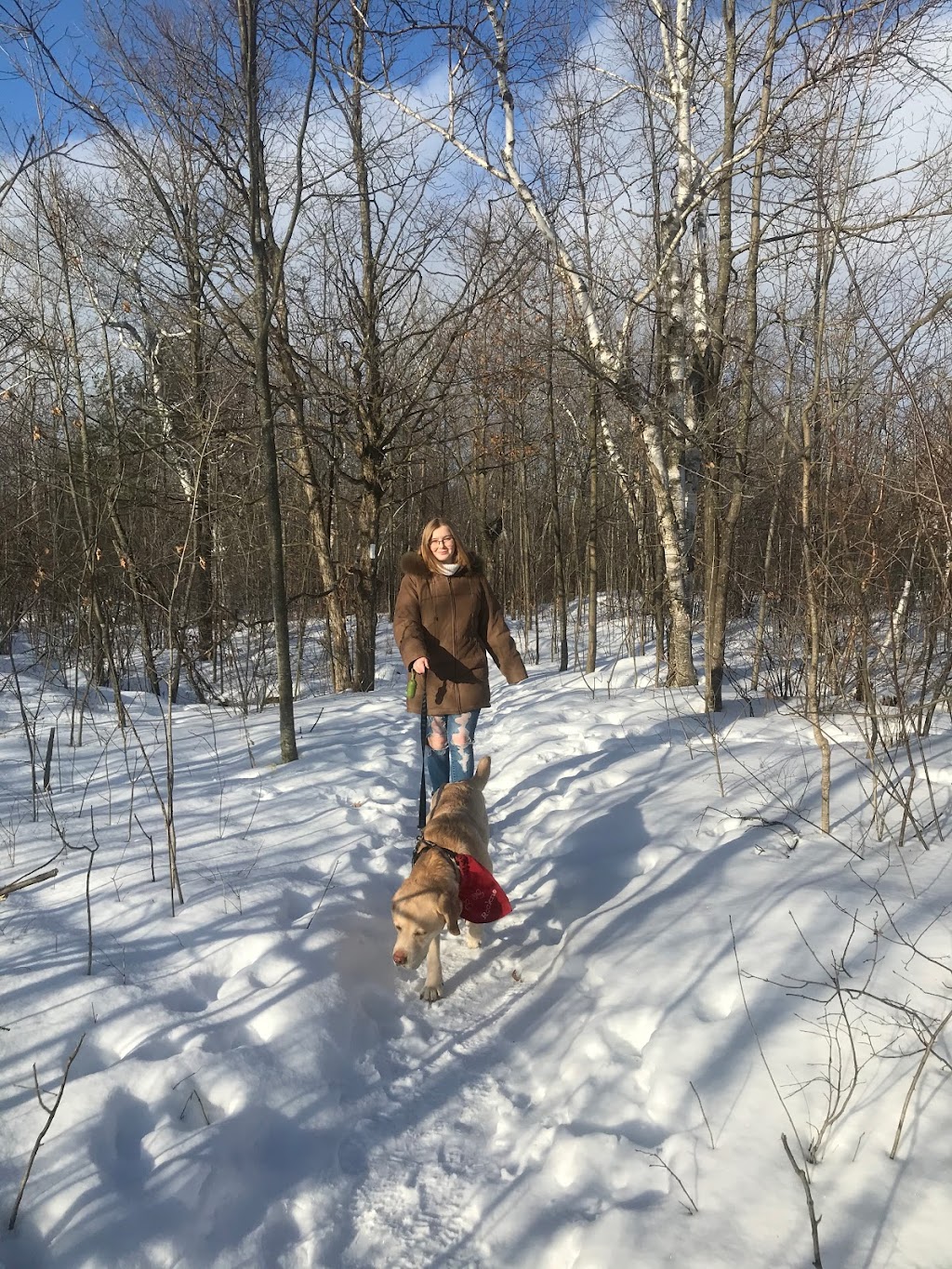 Walker Walks | 80 Arborglen Dr, Georgetown, ON L7G 6L3, Canada | Phone: (289) 924-0633