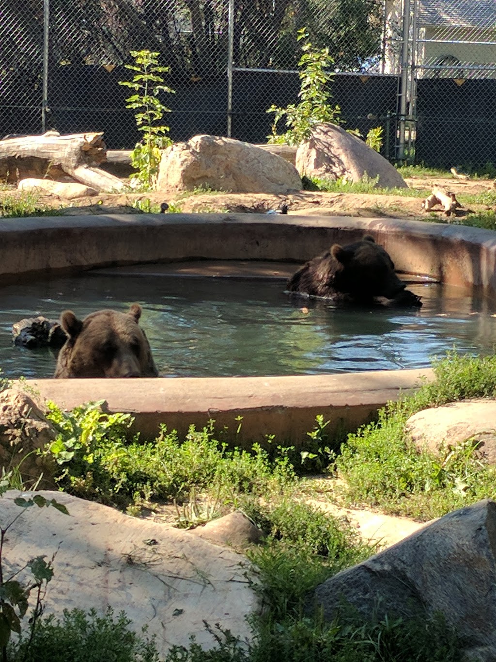 Saskatoon Zoo Society | 1903 Forestry Farm Park Dr, Saskatoon, SK S7S 1G9, Canada | Phone: (306) 975-3395