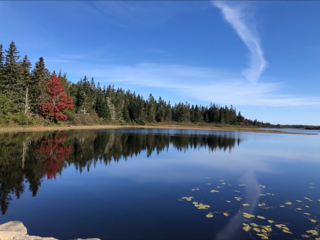 Jolicure Cove | 50 Lake Rd, Jolicure, NB E4L 0E8, Canada | Phone: (506) 962-8212