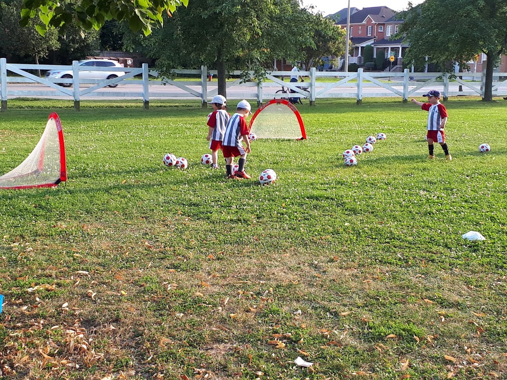 Russell Farm Park | 290 Bantry Ave, Richmond Hill, ON L4B 4M7, Canada | Phone: (905) 771-8800