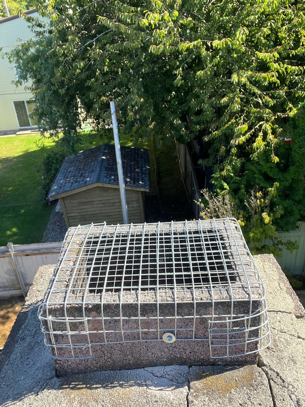 Mainland Wildlife Control | 2101 McMullen Ave, Vancouver, BC V6L 3B4, Canada | Phone: (604) 783-6411