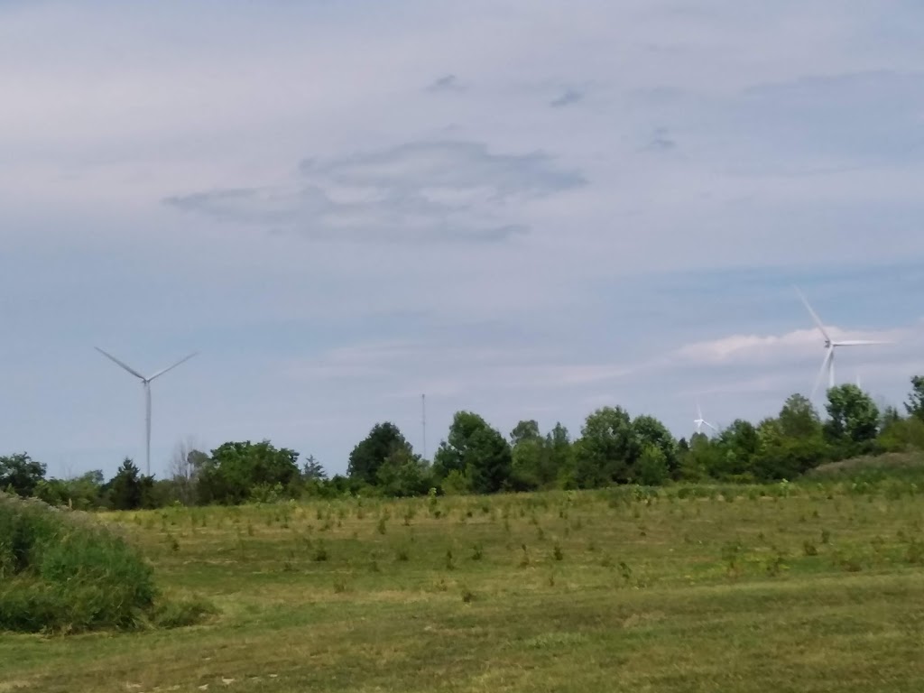 Indian Hills Golf Club | 6991 Lakeshore Rd, Lambton Shores, ON N0N 1J2, Canada | Phone: (519) 786-5505