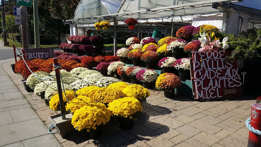 Lory Fleurs | 485 Chemin Bord-du-Lac, Dorval, QC H9S 2A9, Canada | Phone: (514) 804-8848