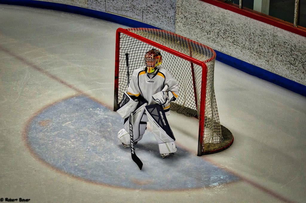 Excellence sur glace | 2950 Rue Edmond, Kirkland, QC H9H 5J5, Canada | Phone: (514) 695-4368
