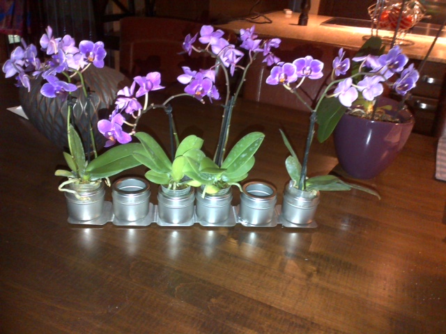 J & J Florists Ltd | 65 Canboro Rd W, Fonthill, ON L0S 1E0, Canada | Phone: (905) 892-2770