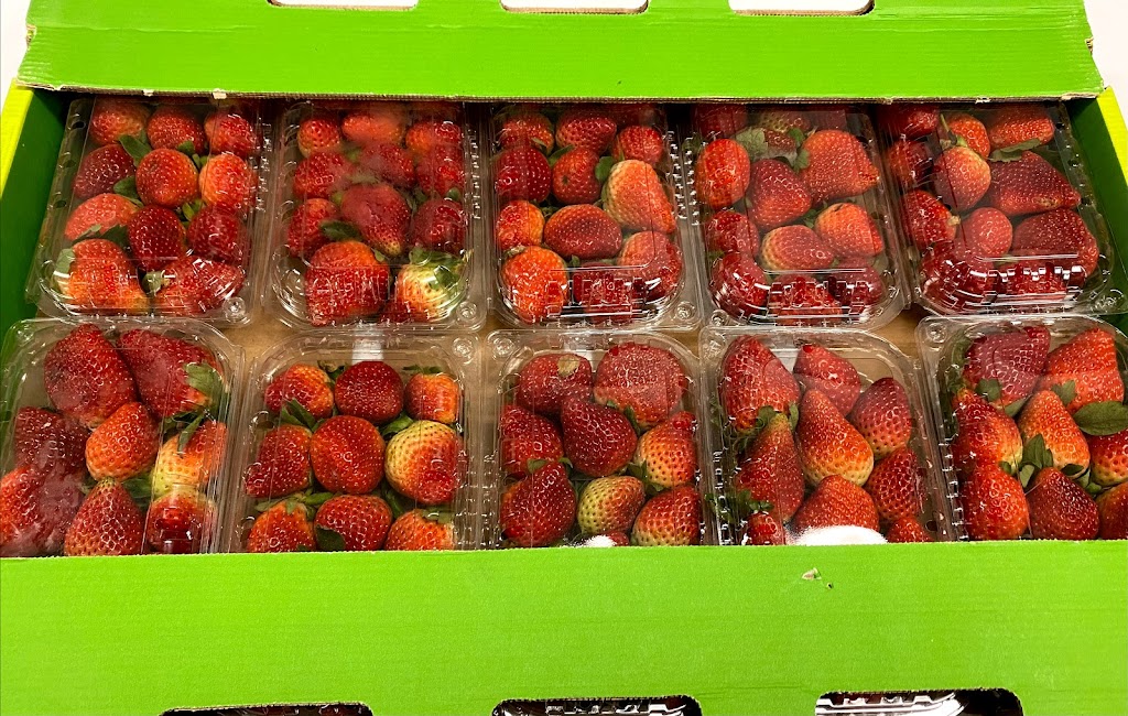 Cleopatra Market | 3765 Loggers Way #112, Kinburn, ON K0A 2H0, Canada | Phone: (613) 291-1187