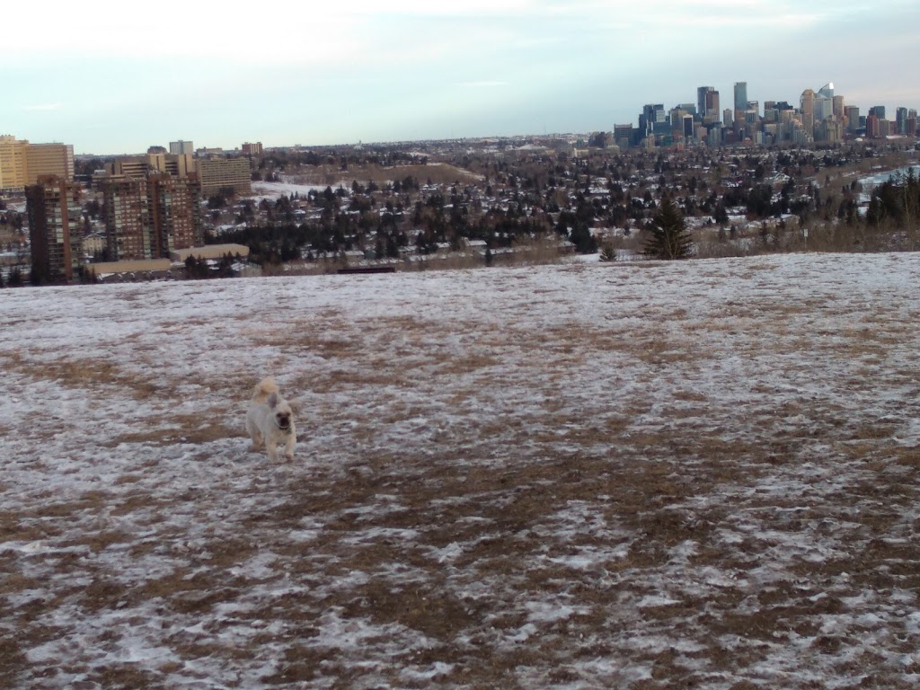 Edworthy Off Leash Park | 5427-5539 Edworthy St SW, Calgary, AB T3C 3B2, Canada