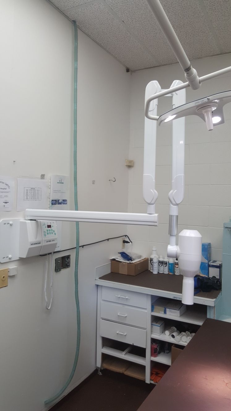 Maillardville Animal Hospital | 1119C Austin Ave, Coquitlam, BC V3K 3P4, Canada | Phone: (604) 939-0800