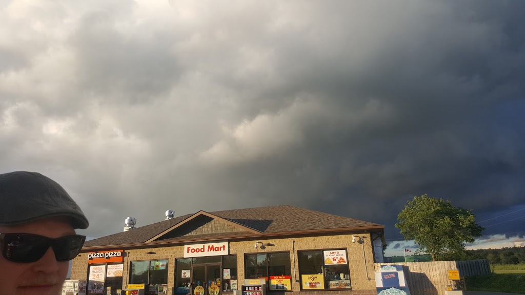 Shell | 113 Belleville Rd, Stirling, ON K0K 3E0, Canada | Phone: (613) 395-2200