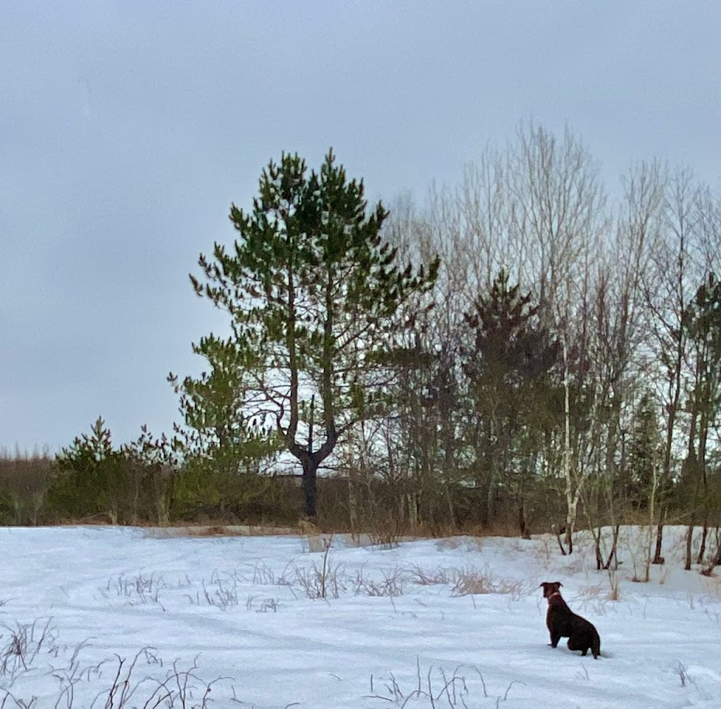 Foretventure | Chem. de Montcerf Lytto, La Vallée-de-la-Gatineau, QC J0W 1N0, Canada | Phone: (613) 581-6688