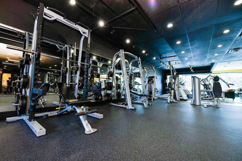 Cowboy Fitness North York | 309 Sheppard Ave E, North York, ON M2N 3B3, Canada | Phone: (647) 975-3567