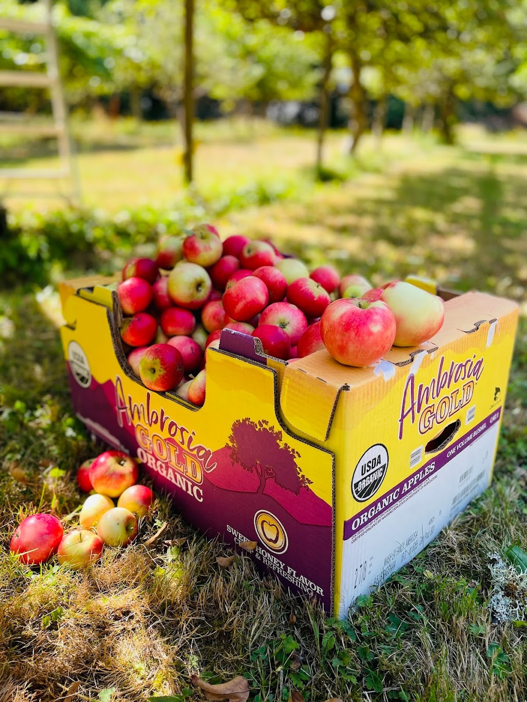 Farmer Dans Family Farm | 1097 Reed Rd, Gibsons, BC V0N 1V7, Canada | Phone: (604) 865-0703
