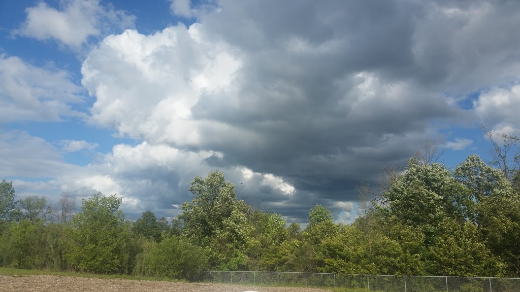Hamilton/Burlington SPCA Dog Park | 245 Dartnall Rd, Hamilton, ON L8W 3V9, Canada | Phone: (905) 574-7722
