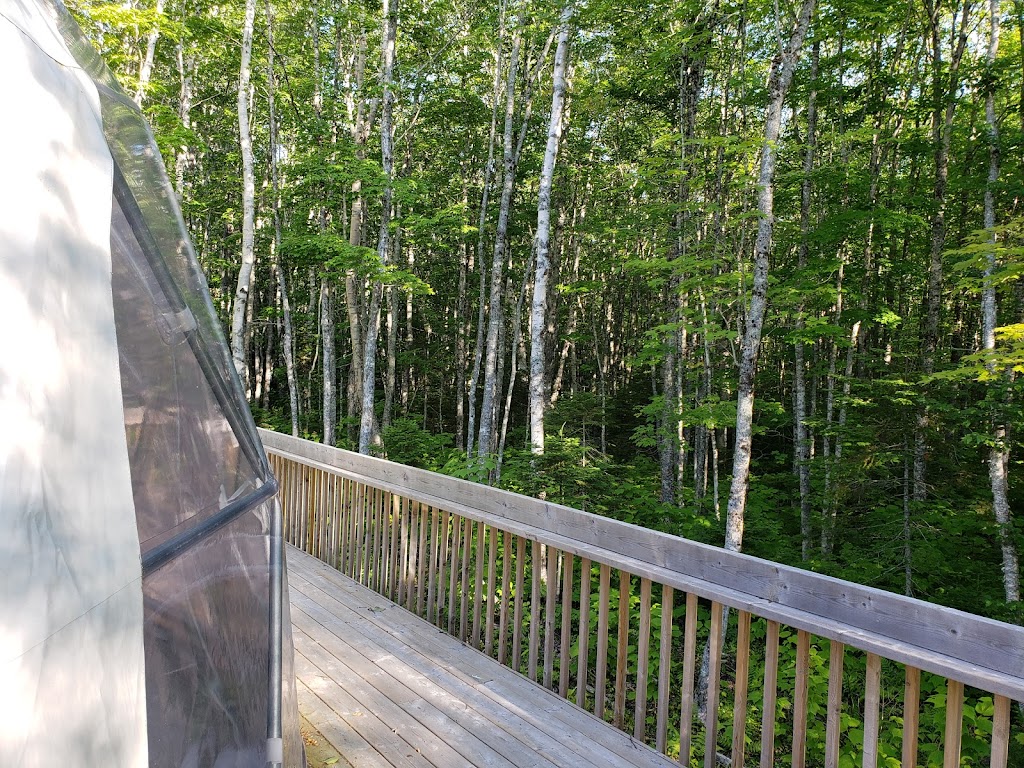 Treetop Haven | 1210 Mt Tryon Rd, Albany, PE C0B 1A0, Canada | Phone: (902) 439-0267
