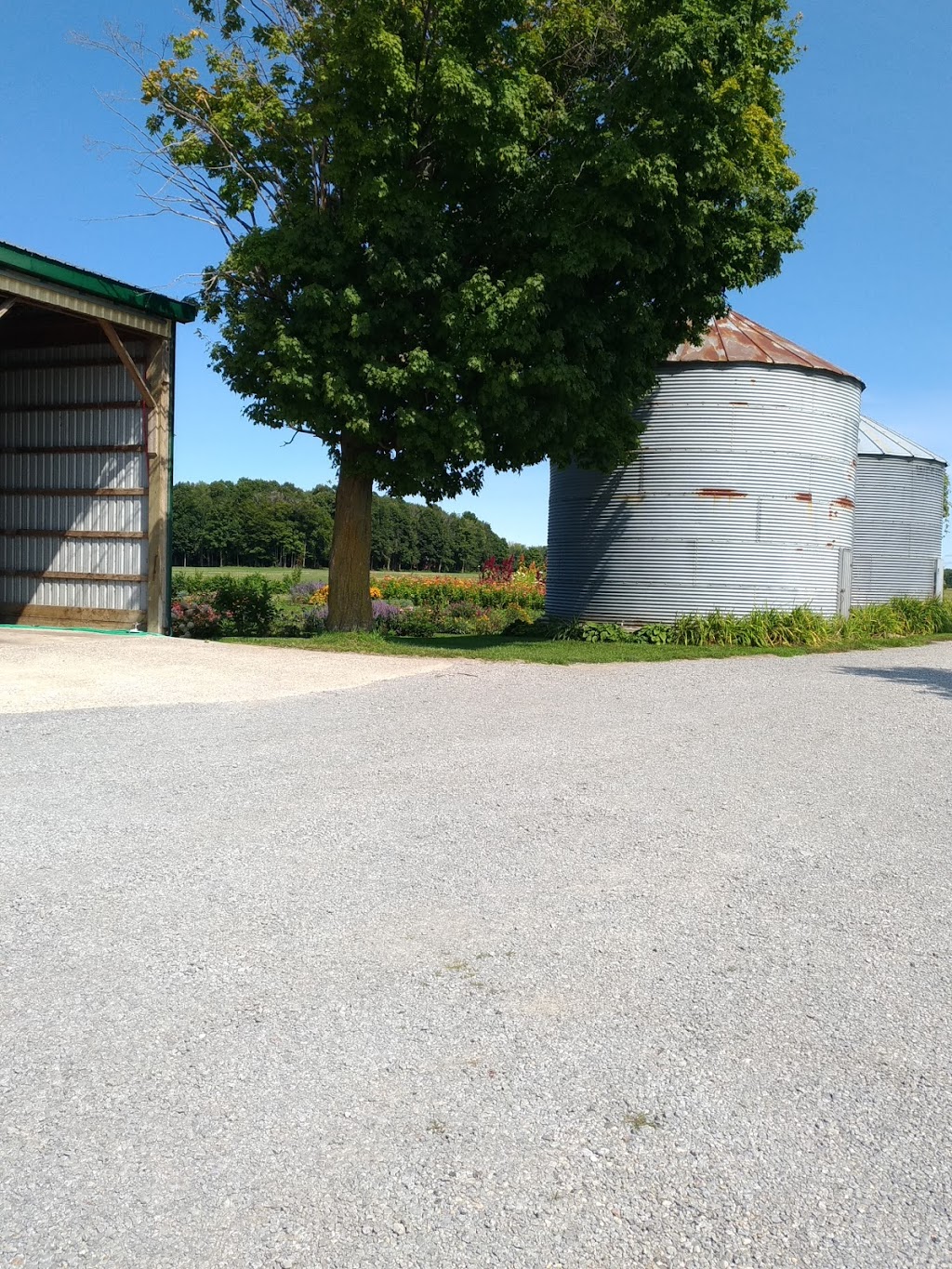 Whites Creek Flower Farm | 1125 Concession Rd 7, Beaverton, ON L0K 1A0, Canada | Phone: (705) 928-2910