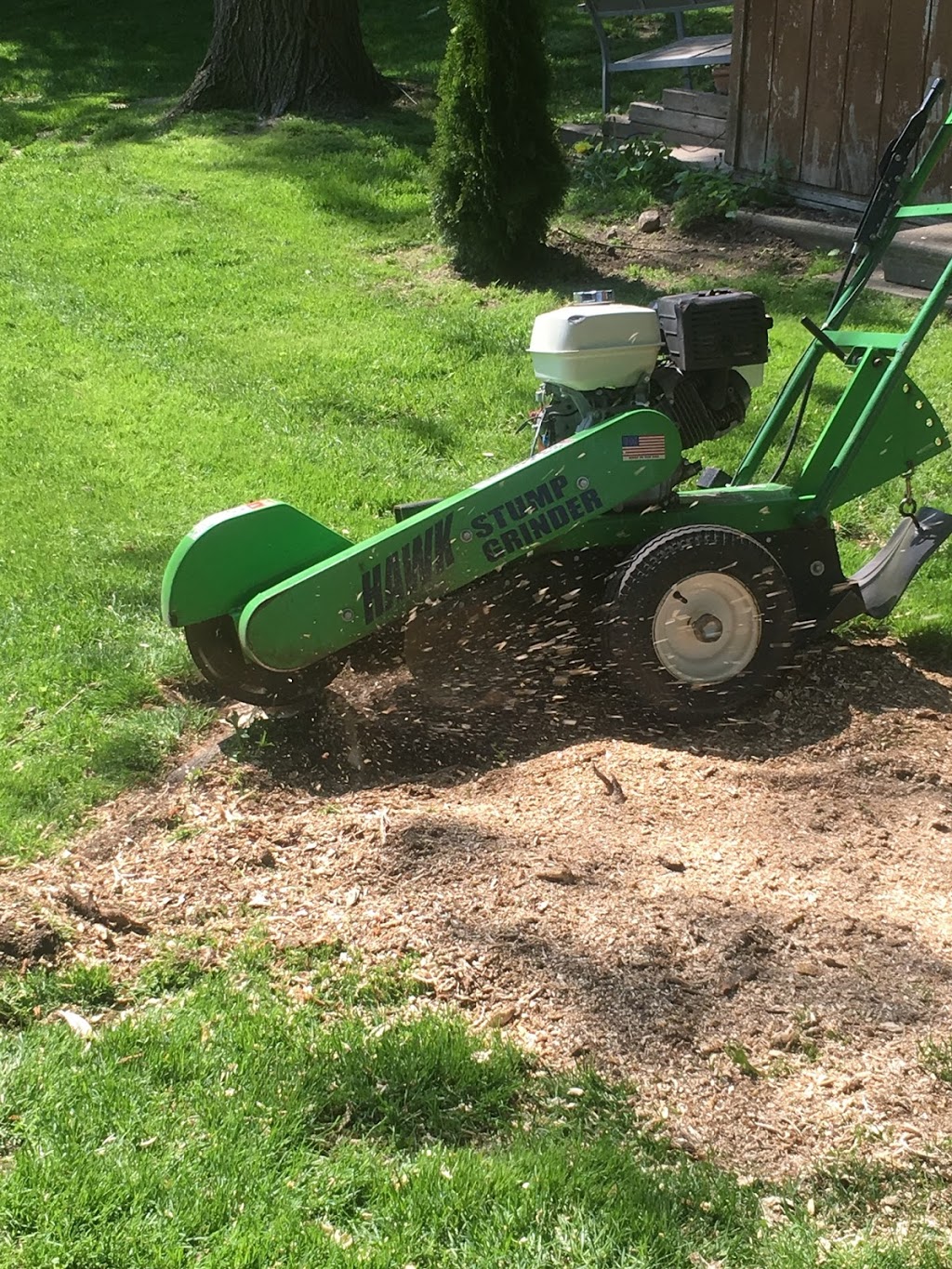 Aftermath Tree Care | 321 Marland Ave, Oshawa, ON L1J 1X3, Canada | Phone: (647) 771-8733