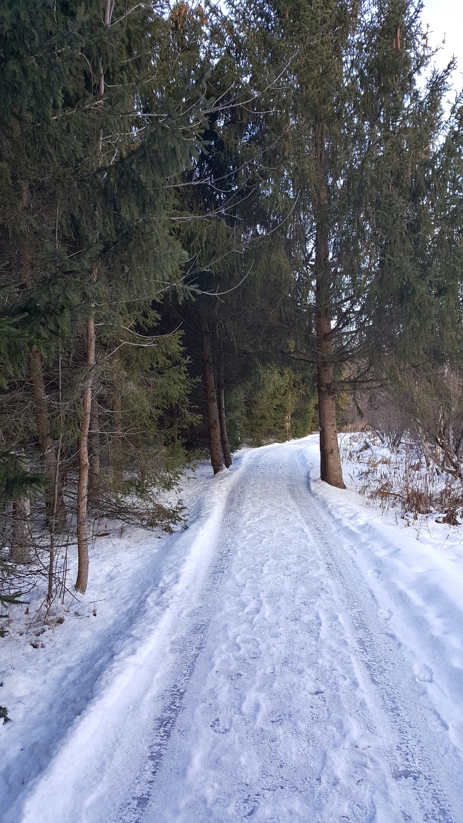 Parc Plaisance | 441 Rue de Versailles, Granby, QC J2G 8C7, Canada | Phone: (450) 776-8282